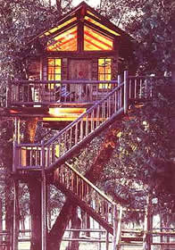 treehouse-night-usa